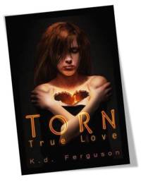 Torn True Love Cover