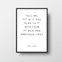 Mary Oliver Quote Poster